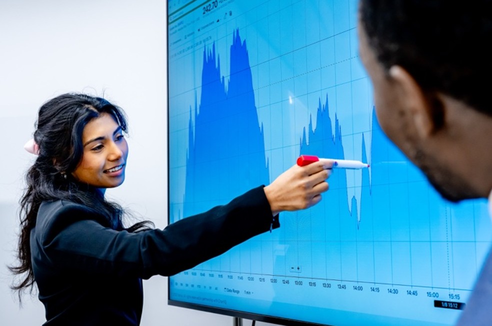 Professional development program